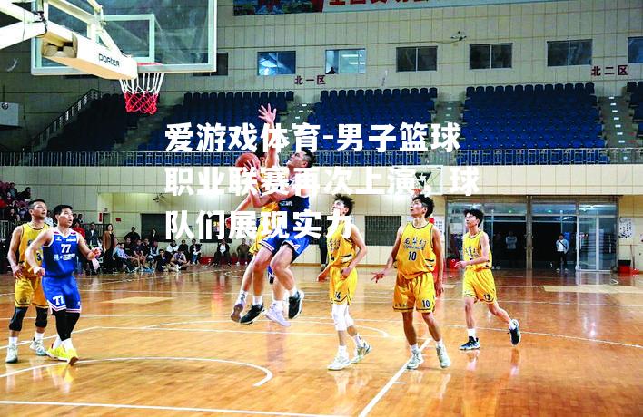 爱游戏体育-男子篮球职业联赛再次上演，球队们展现实力