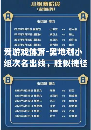 爱游戏体育-奥地利小组次名出线，胜似捷径