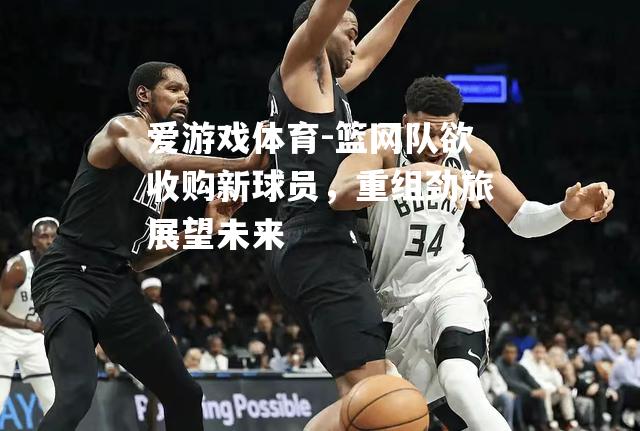 爱游戏体育-篮网队欲收购新球员，重组劲旅展望未来