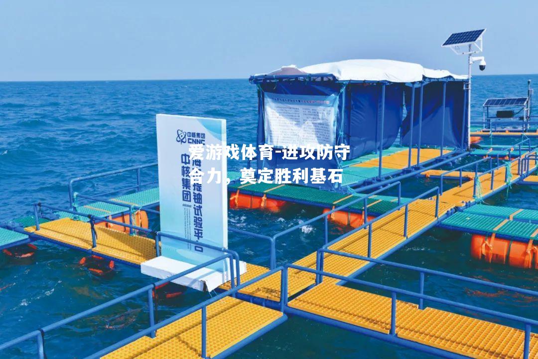爱游戏体育-进攻防守合力，奠定胜利基石