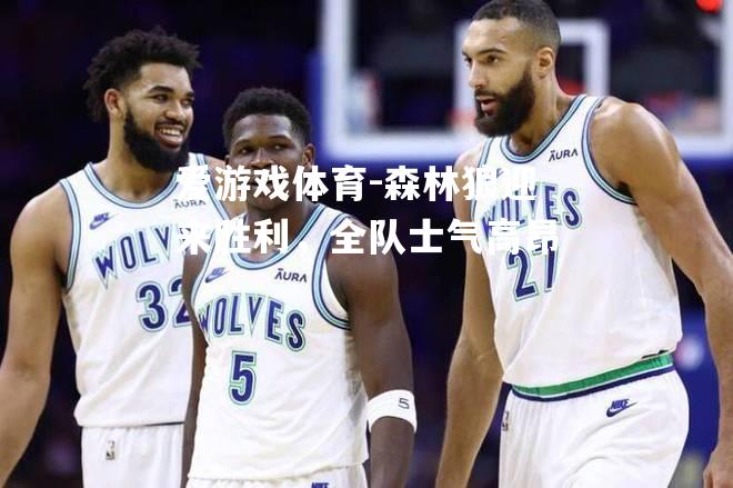 爱游戏体育-森林狼迎来胜利，全队士气高昂