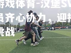 爱游戏体育-汉堡SV球员齐心协力，迎接新的挑战