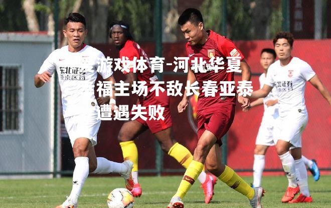 爱游戏体育-河北华夏幸福主场不敌长春亚泰，遭遇失败