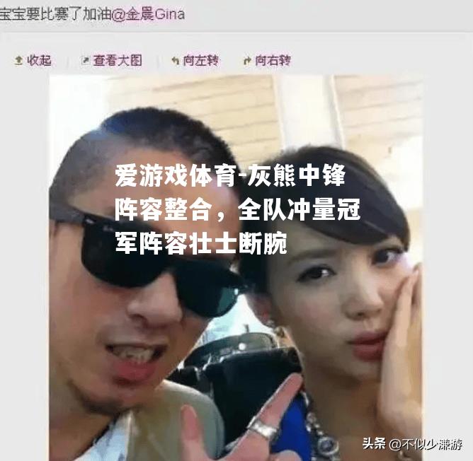爱游戏体育-灰熊中锋阵容整合，全队冲量冠军阵容壮士断腕
