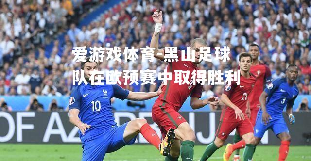 爱游戏体育-黑山足球队在欧预赛中取得胜利