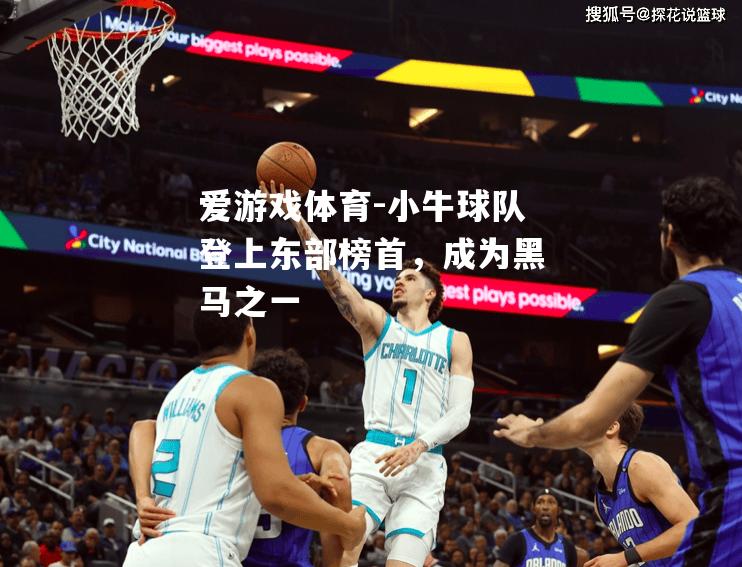 爱游戏体育-小牛球队登上东部榜首，成为黑马之一