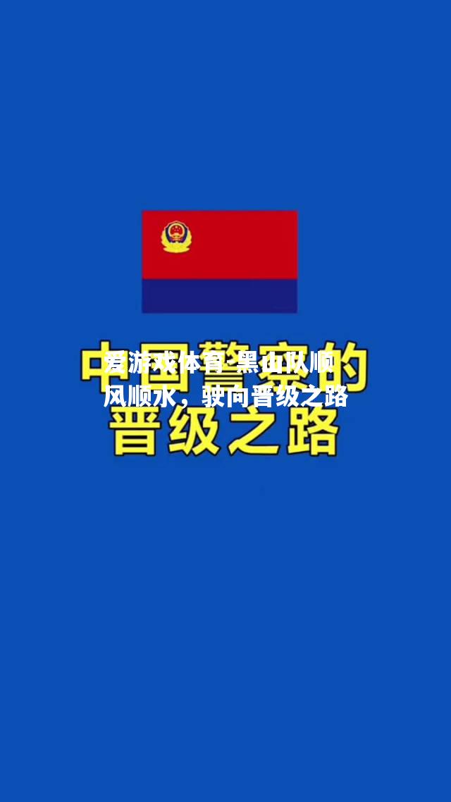 爱游戏体育-黑山队顺风顺水，驶向晋级之路