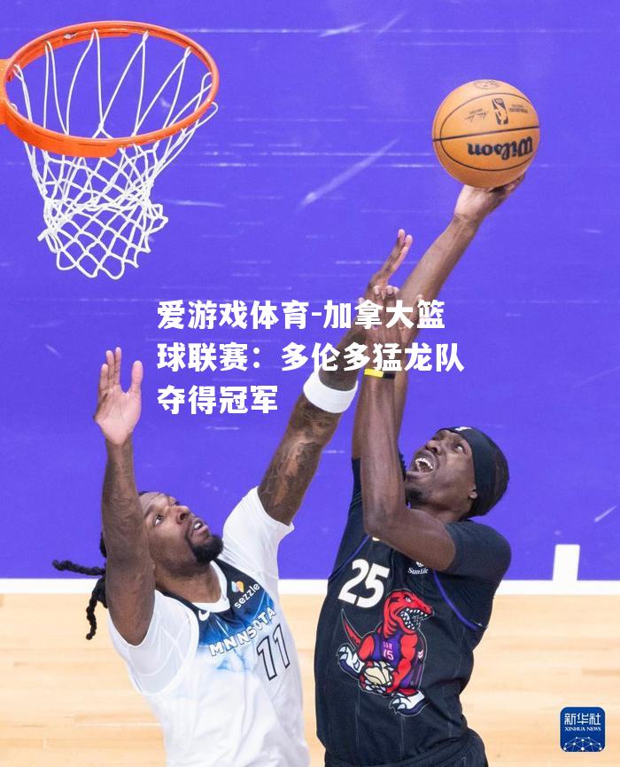 爱游戏体育-加拿大篮球联赛：多伦多猛龙队夺得冠军