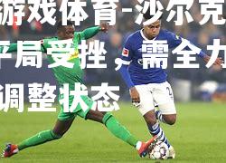 爱游戏体育-沙尔克04平局受挫，需全力以赴调整状态