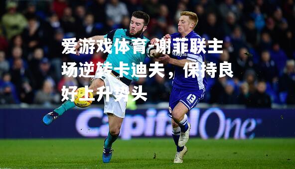 爱游戏体育-谢菲联主场逆转卡迪夫，保持良好上升势头