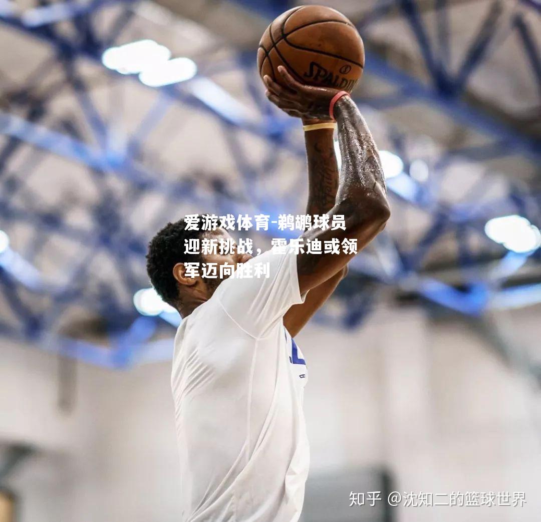 爱游戏体育-鹈鹕球员迎新挑战，霍乐迪或领军迈向胜利
