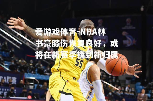 爱游戏体育-NBA林书豪膝伤恢复良好，或将在新赛季找到新归属
