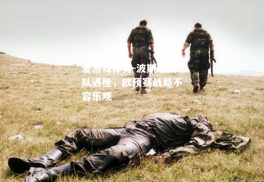爱游戏体育-波斯尼亚队遇挫，欧预赛战局不容乐观
